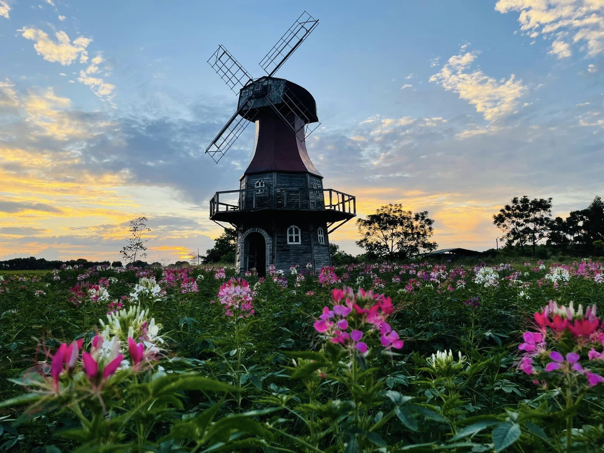 Phim trường Rose Garden Bắc Giang