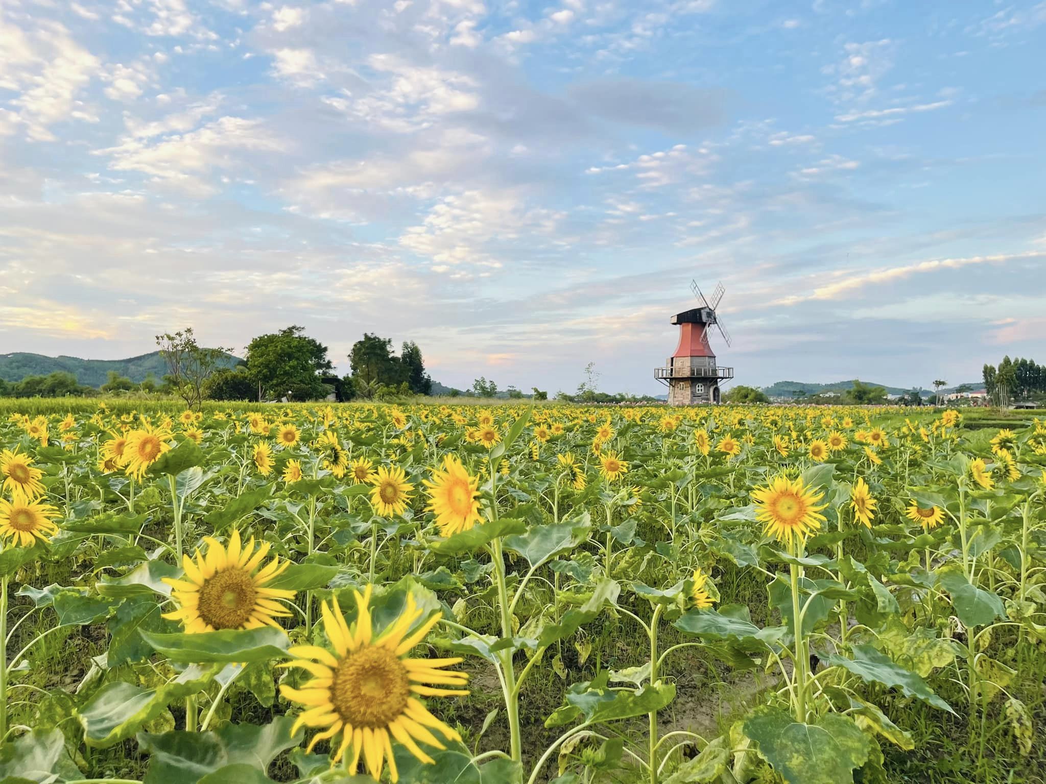 Phim trường Rose Garden Bắc Giang