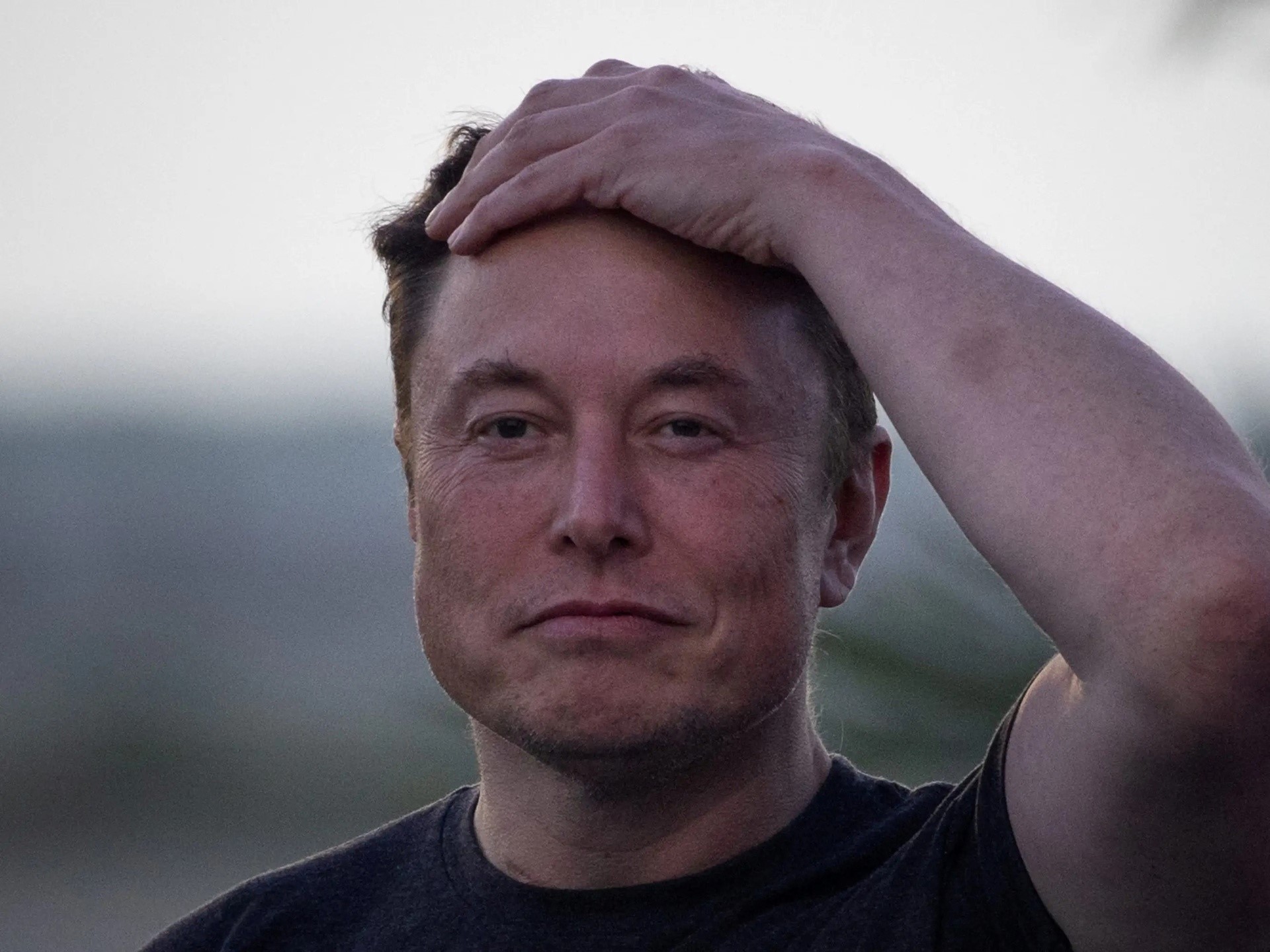 Elon Musk đã sai
